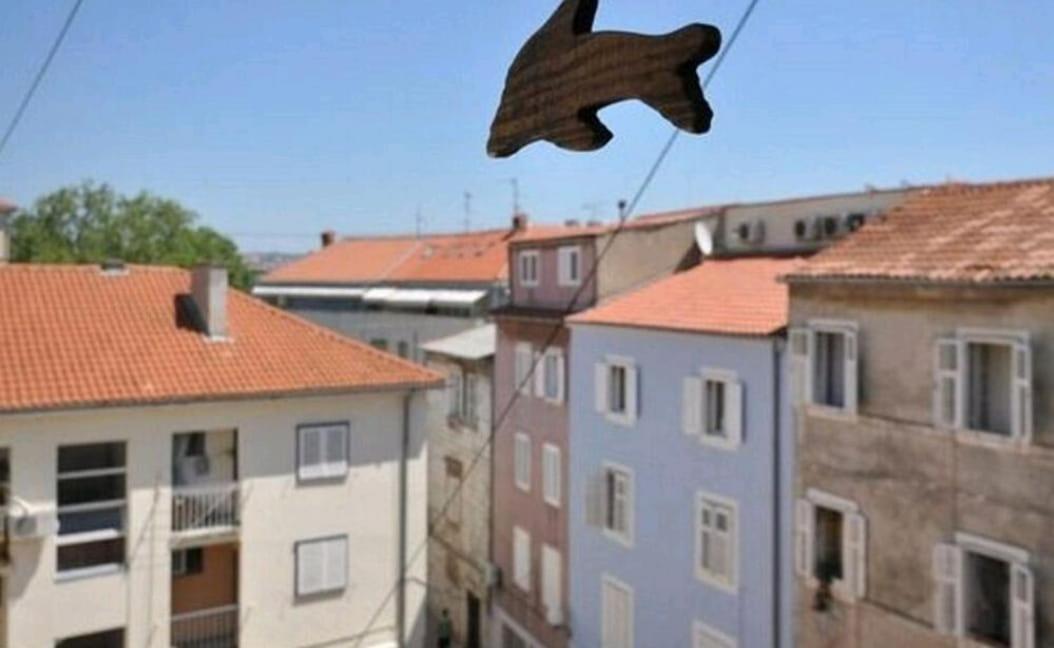 Avantgarde Zara Esterno foto